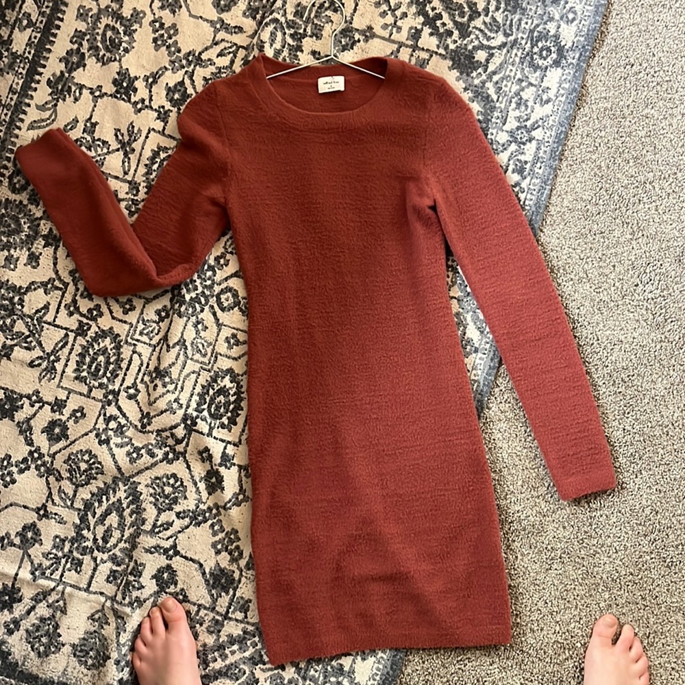 Aritzia long sleeve mini dress